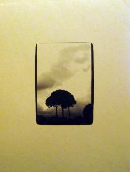 LP Iron And Wine: The Creek Drank The Cradle