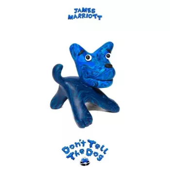 Don’t Tell The Dog