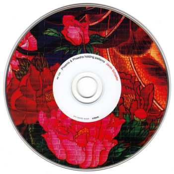 CD Janek Schaefer: Phoenix & Phaedra Holding Patterns