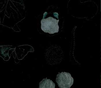 CD Japanese Breakfast: Psychopomp