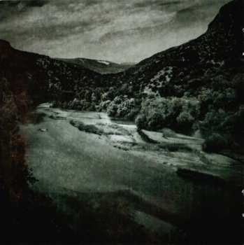 CD Jargon: The Fading Thought DIGI