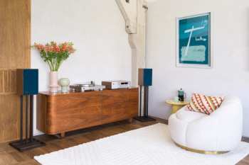 Technologia audio JBL TT350 Ořech/Stříbrná