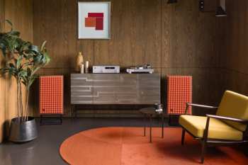 Technologia audio JBL TT350 Ořech/Stříbrná