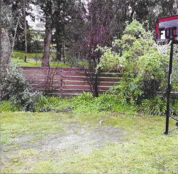 CD Jeff Rosenstock: We Cool?