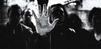 CD Jelly Fiche: Symbiose