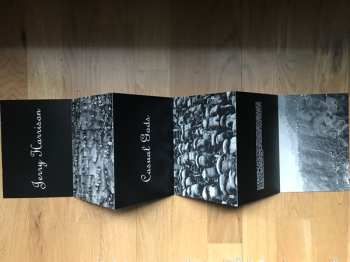 LP Jerry Harrison: Casual Gods: Casual Gods