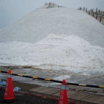 Album Jing: Artificial Salvation