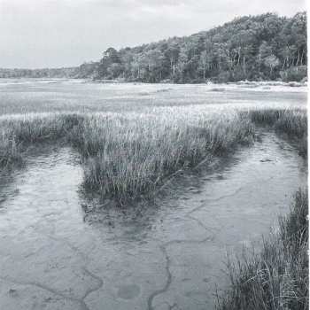 CD JJ Grey & Mofro: Olustee