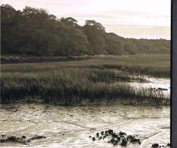 CD JJ Grey & Mofro: Olustee