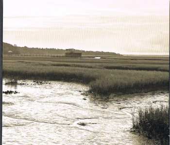 CD JJ Grey & Mofro: Olustee