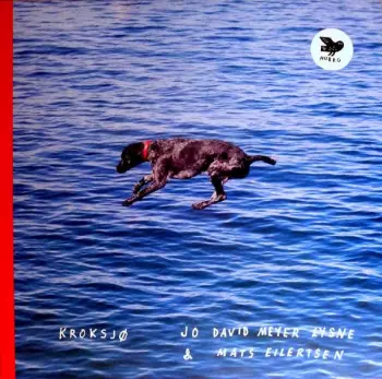 Jo David Meyer Lysne: Kroksjø