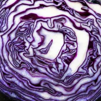 LP Jo Yonderly: Greatest Hits 1.0 (iex) Turquoise