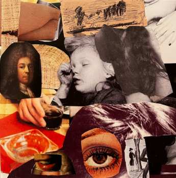 LP Sköldpaddsön LTD