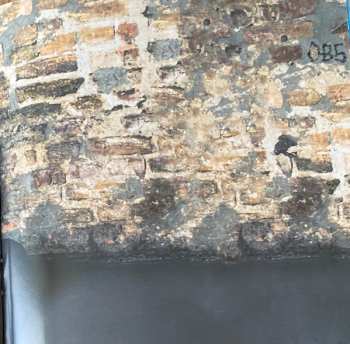 CD Joel Brandenstein: Frei