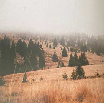 CD Joel Brandenstein: Frei