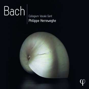 10CD/Zestaw pudełkowy Johann Sebastian Bach: Bach