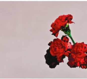 CD John Legend: Love In The Future