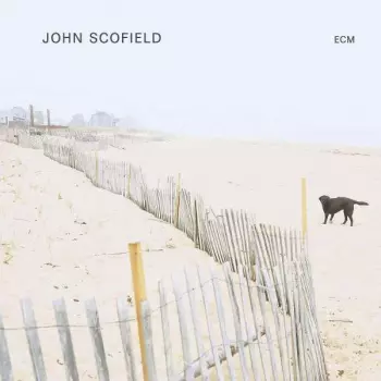 John Scofield: John Scofield
