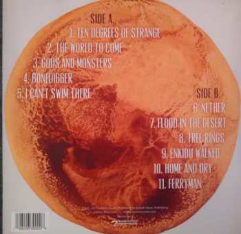 LP Johnny Flynn: Lost In The Cedar Wood