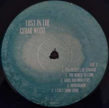 LP Johnny Flynn: Lost In The Cedar Wood