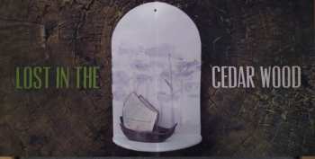 LP Johnny Flynn: Lost In The Cedar Wood