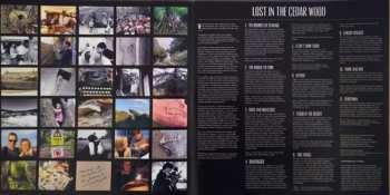 LP Johnny Flynn: Lost In The Cedar Wood