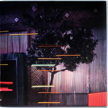 LP Johnny Jewel: Digital Rain LTD | CLR