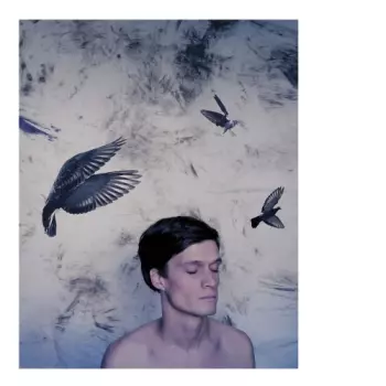 Jonathan Johansson: En Hand I Himlen