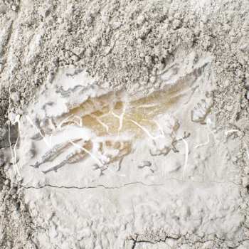 CD Jonathan Kawchuk: Everywhen