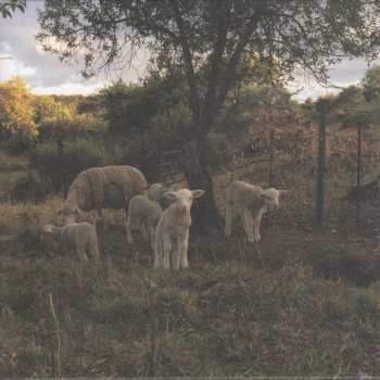 CD Josephine Foster: No Harm Done