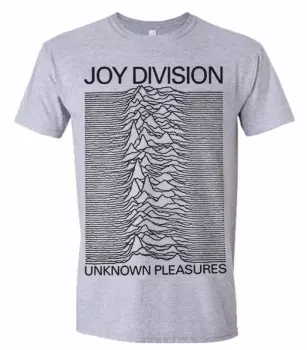 Koszulka Unknown Pleasures (grey)