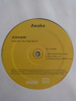 2LP Joywave: How Do You Feel Now?