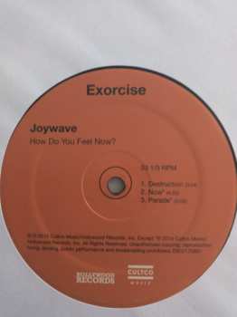 2LP Joywave: How Do You Feel Now?