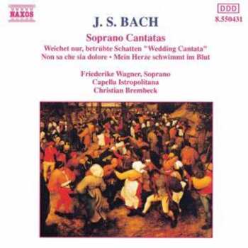 Album Johann Sebastian Bach: Soprano Cantatas