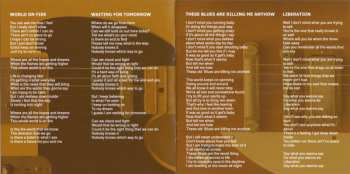 2CD Julian Sas: Electracoustic