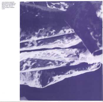 2LP/Zestaw pudełkowy Julius Eastman: The Nigger Series CLR | LTD