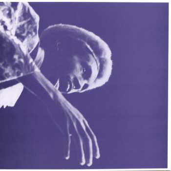 2LP/Zestaw pudełkowy Julius Eastman: The Nigger Series CLR | LTD