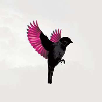 Album Jump, Little Children: Sparrow