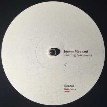 2LP Júníus Meyvant: Floating Harmonies