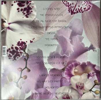 LP Kali Uchis: Orquídeas CLR | LTD