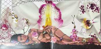LP Kali Uchis: Orquídeas CLR | LTD