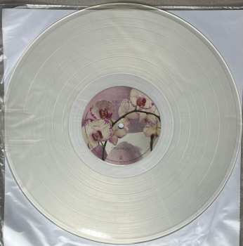 LP Kali Uchis: Orquídeas CLR | LTD