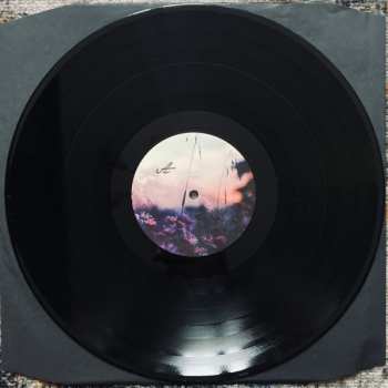 LP Karg: Resignation LTD