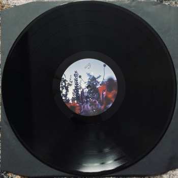 LP Karg: Resignation LTD