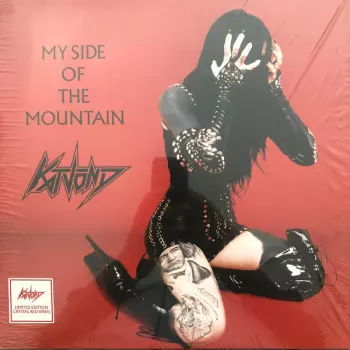My Side Of The Mountain