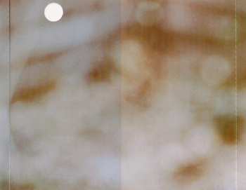 CD Kate McGarry: Show Me