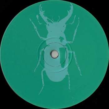 LP Kava Kava: You Can Live Here