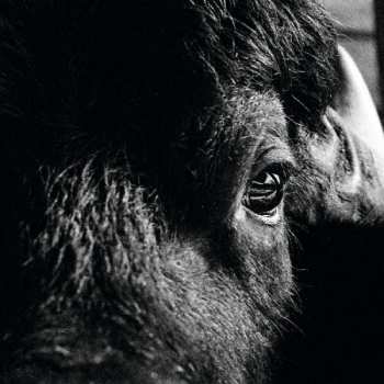 CD Killbody Tuning: Pictorial