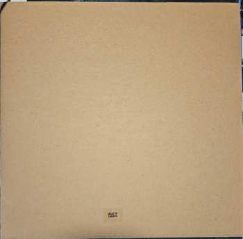 LP King Gizzard And The Lizard Wizard: The Silver Cord