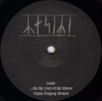 LP King Of Asgard: Taudr